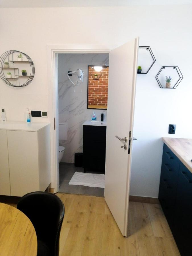 Evita Studio Apartment Karlovac Bagian luar foto